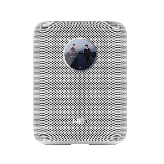 Wiim Sound Smart Speaker Adelaide